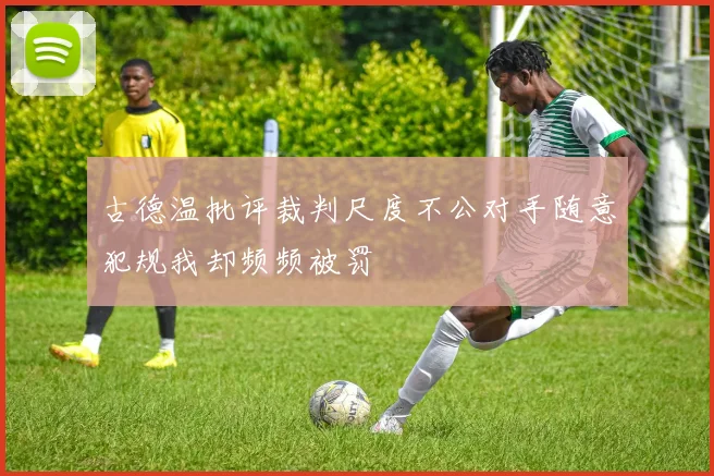 古德温批评裁判尺度不公对手随意犯规我却频频被罚