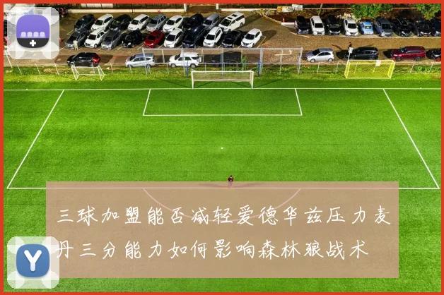 三球加盟能否减轻爱德华兹压力麦丹三分能力如何影响森林狼战术
