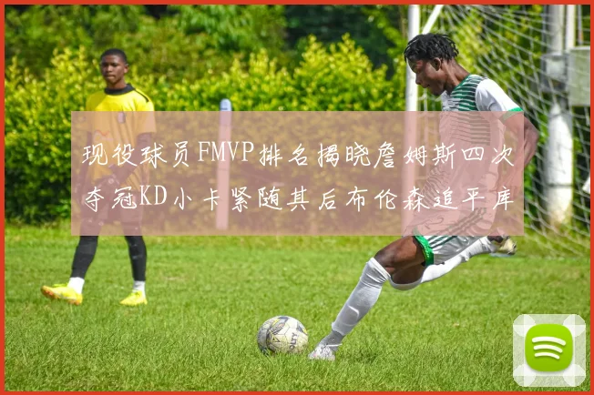 现役球员FMVP排名揭晓詹姆斯四次夺冠KD小卡紧随其后布伦森追平库里约基奇等