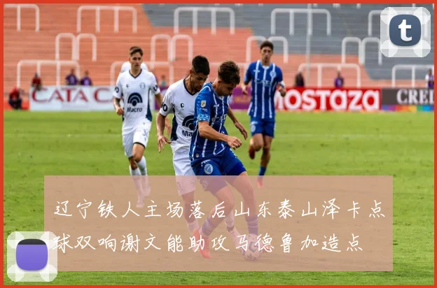 辽宁铁人主场落后山东泰山泽卡点球双响谢文能助攻马德鲁加造点